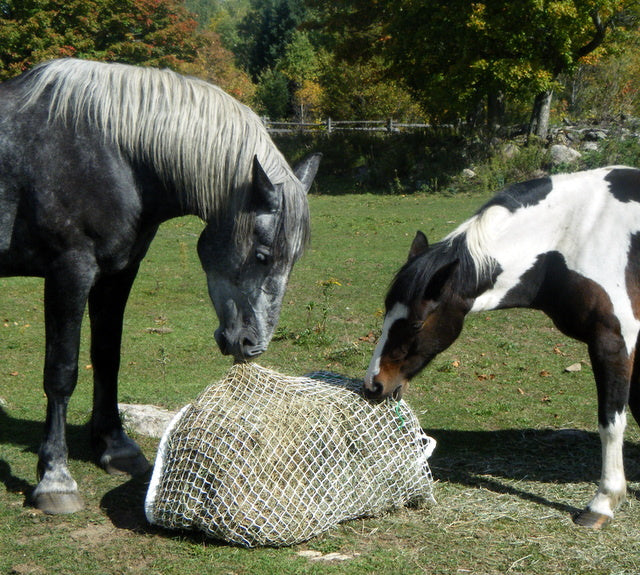 MINI SLOW BALE BUDDY