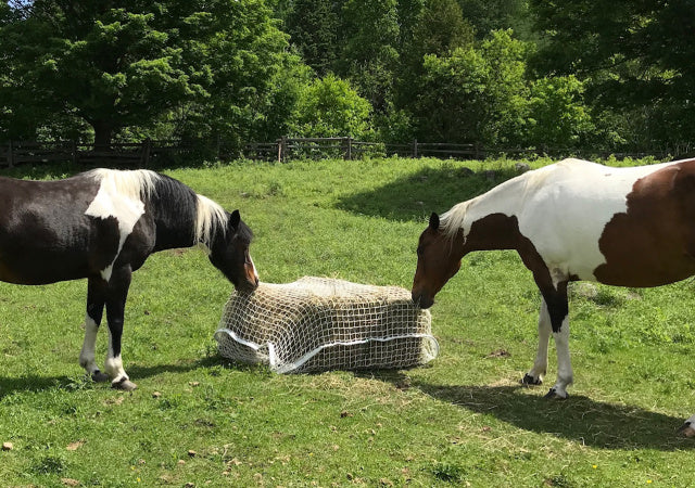 DOUBLE MINI SLOW BALE BUDDY (Weekender)