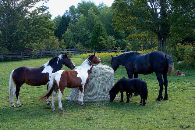 LARGE SLOW BALE BUDDY