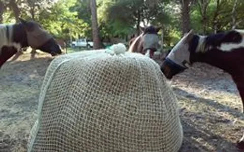 slow feeder for hay canada
