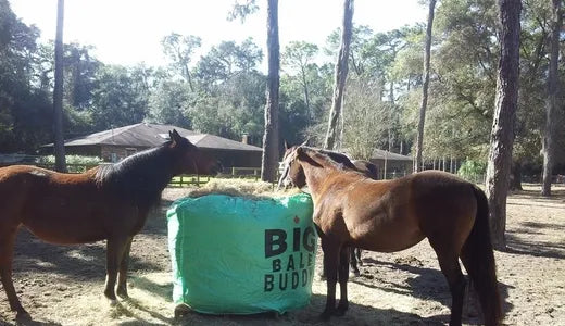 most affordable round bale feeder
