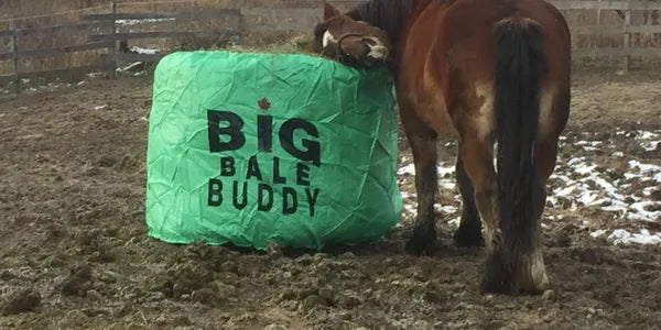 best round bale feeder