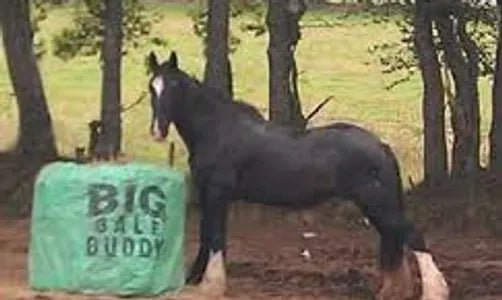 buddy bale bag