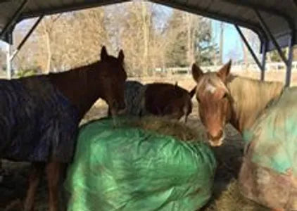 equine round bale feeder