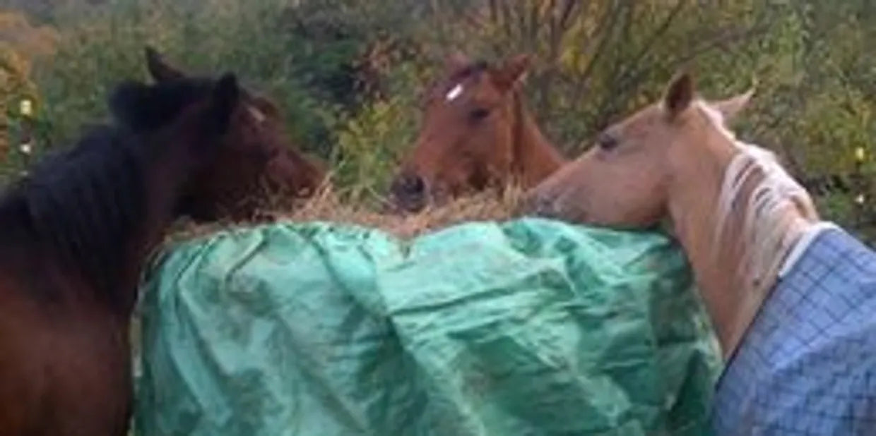 round bale feeder for horses