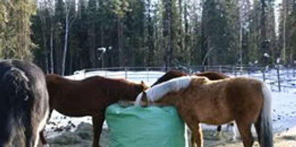 equine round bale feeder