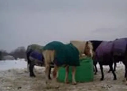 Best equine round bale feeder