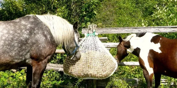 net slow feeder for small square bales