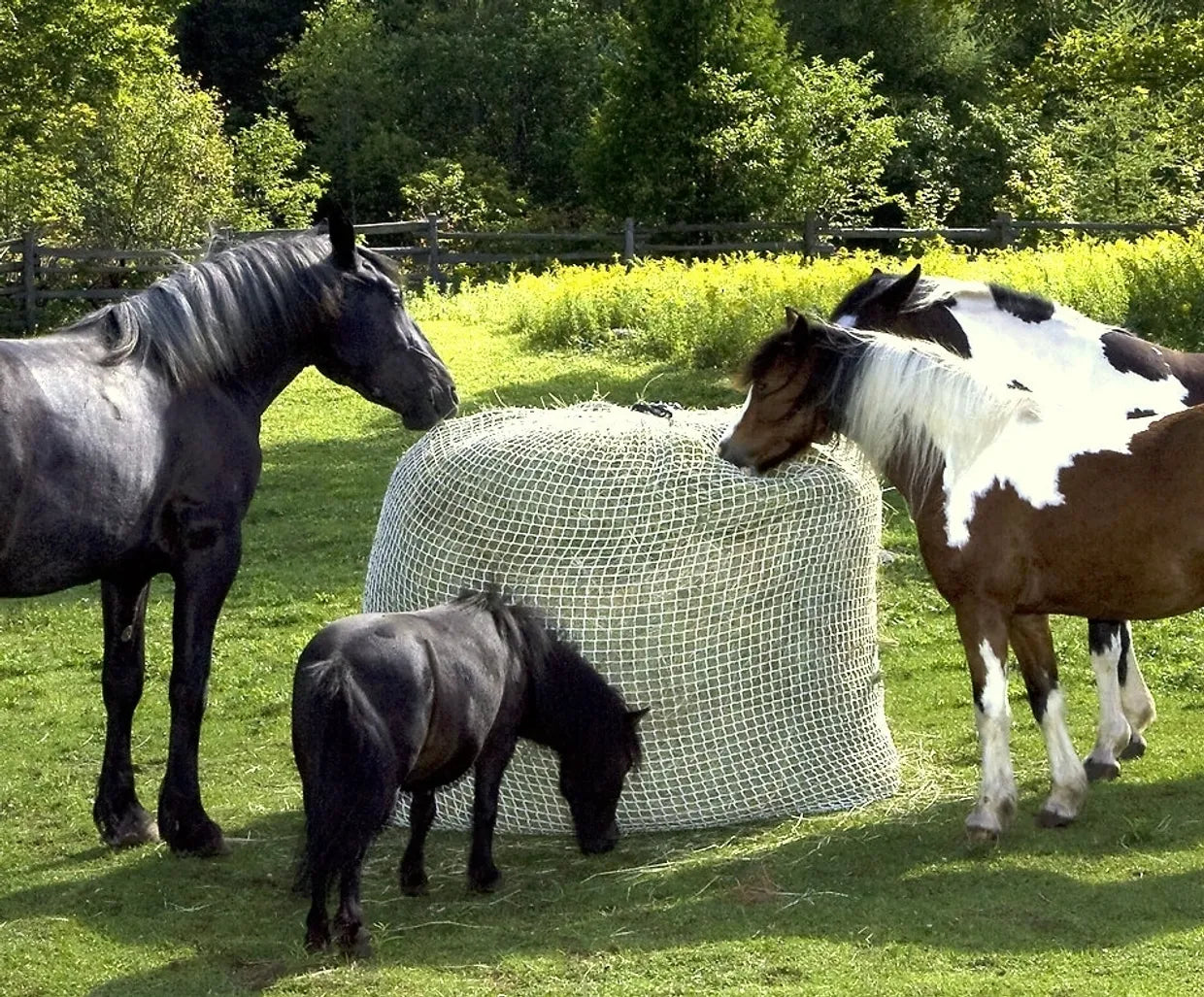 best quality net slow feeder for horses
