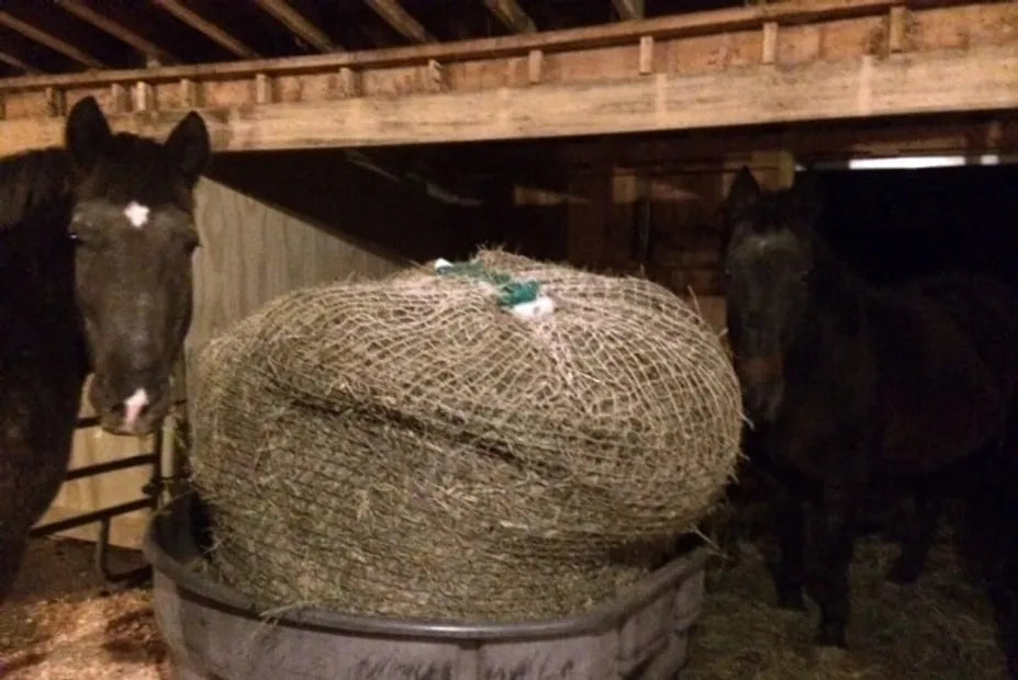net slow feeder with warranty