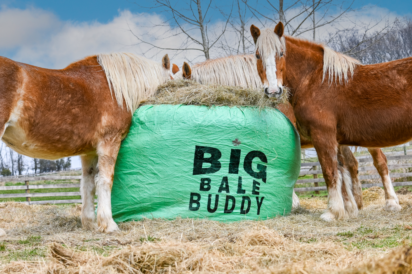 Extra Large Big Bale Buddy