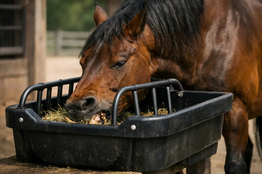 Best horse feeder for aggressive eaters