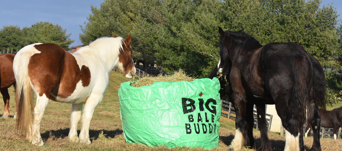 Why the Big Bale Buddy Is the Smartest, Most Practical Round Bale Feeder You Can Buy