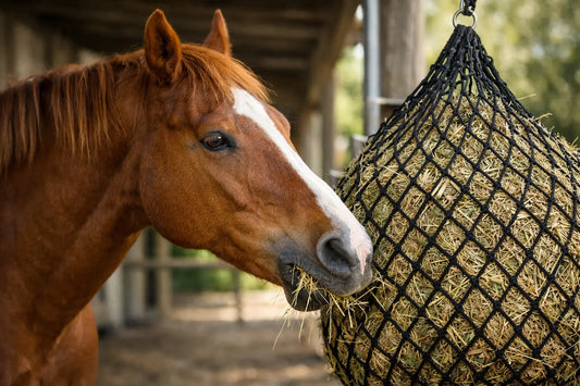 How to Use Slow Feed Nets the Right Way
