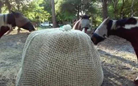 Choosing a Durable Slow Feed Hay Net