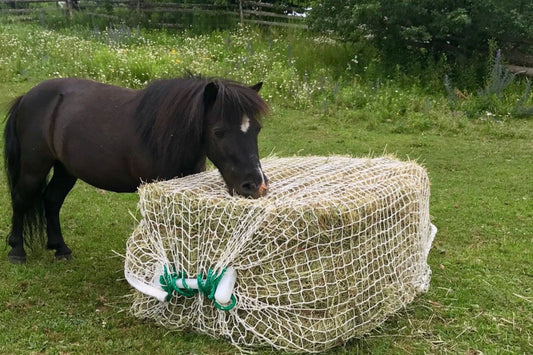 Are Slow Feed Hay Nets Safe for Horses?