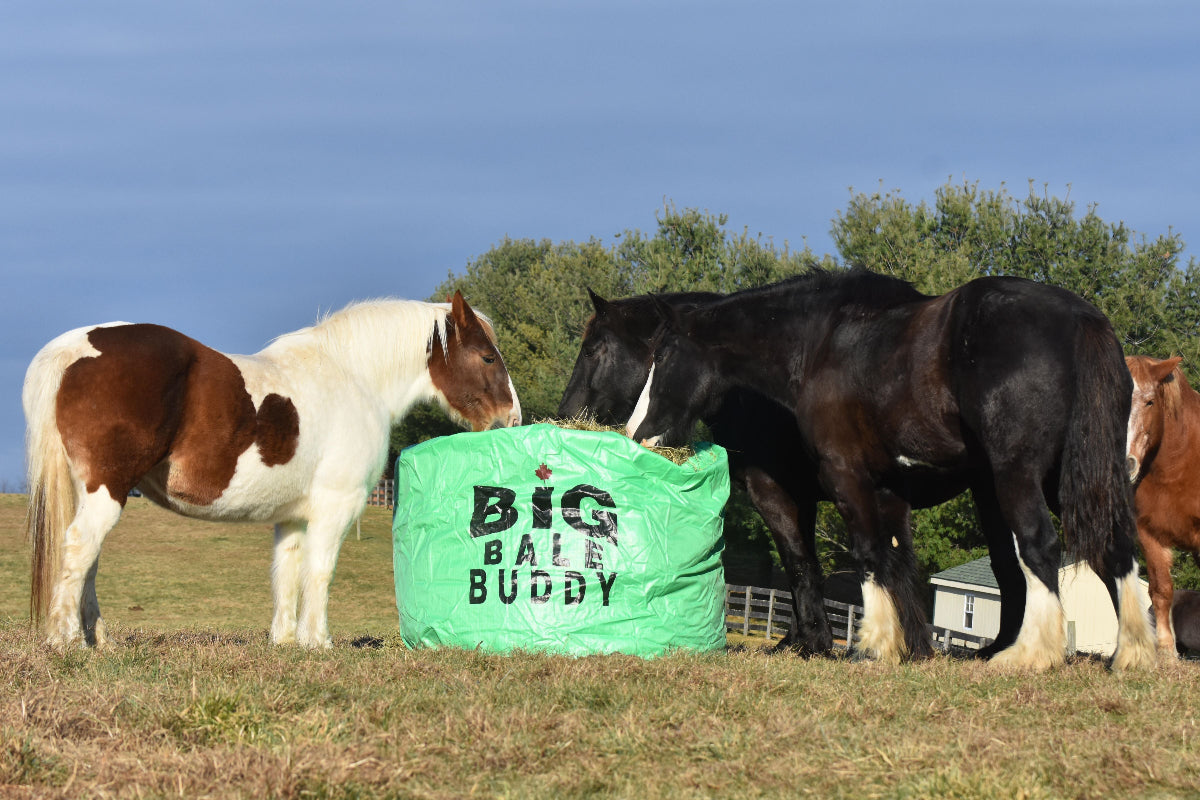 Weather-resistant polypropylene round bale feeder with UV protection