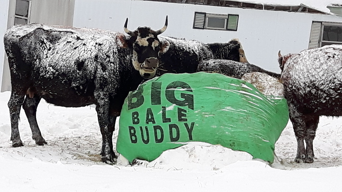 Large Big Bale Buddy