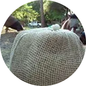 net slow feeder for horses